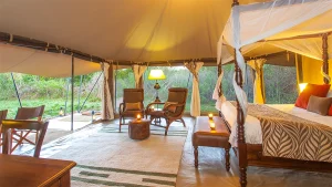 4 Days Masai Mara Luxury Lodge Safari