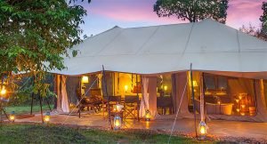 4 Days Masai Mara Luxury Lodge Safari