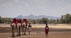 Kenya Safaris & Camping Adventures
