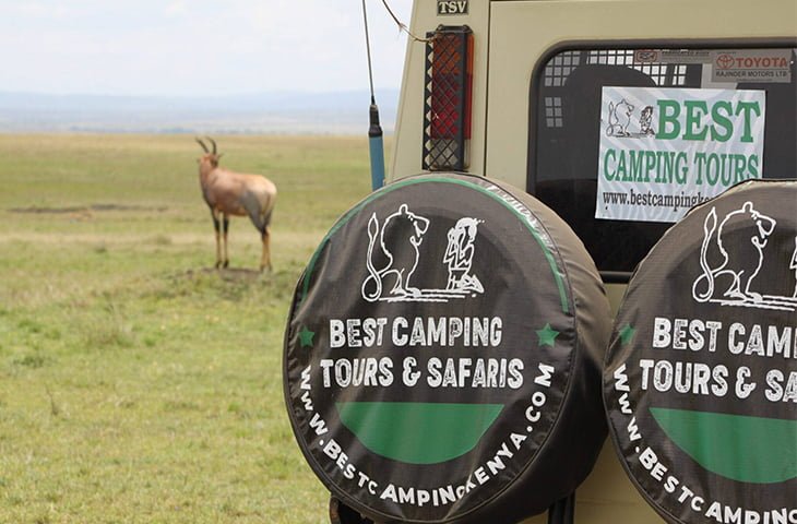 Comfortable safari Land Cruisers and expert guides enhancing your Kenya safari experience with Best Camping Tours