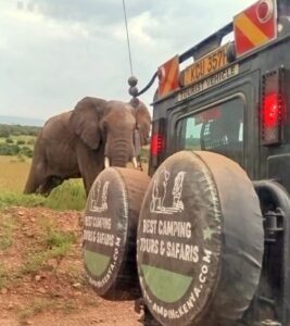 Camping Adventure in Kenya