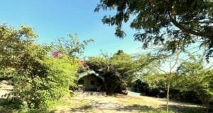 Camping Safaris Kenya 