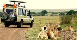 4 Days Masai Mara National Reserve Safari 