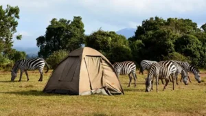 Camping in Kenya