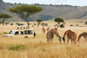 Kenya Camping Safari - Top 16 Destinations