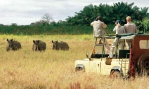 Kenya Camping Safari - Top 16 Destinations