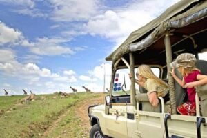 Kenya Safari and Beach Holiday Pricing