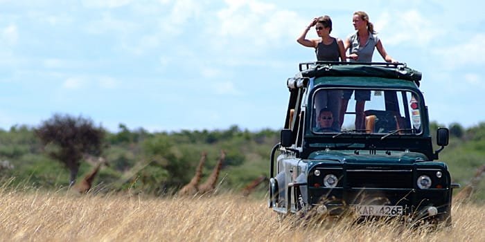 Best Time to Visit Kenya Safari