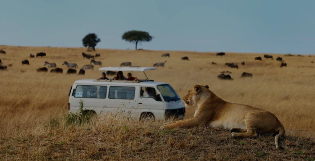 Safari in Kenya