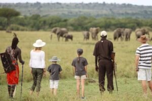 Best Safari Companies in Kenya