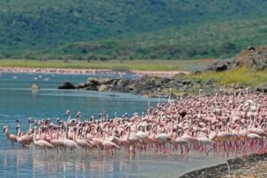 6-Day Tour to Lake Naivasha Adventures