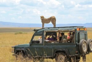 Kenya Safari Adventure 