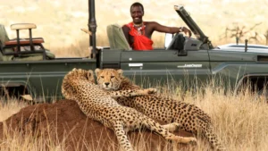 Best Safari Companies in Kenya