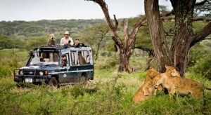 Camping Adventures in Kenya