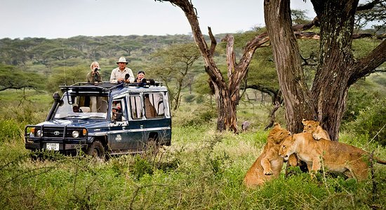 Kenya Safari Adventure