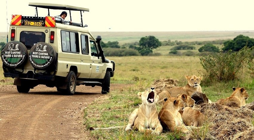Safari in Kenya