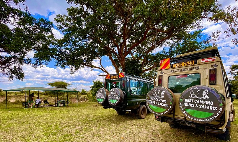 Kenya safari wildlife viewing with Best Camping Tours and Safaris — safari vehicle observing lions, elephants, and giraffes in the Masai Mara and other top Kenya parks.